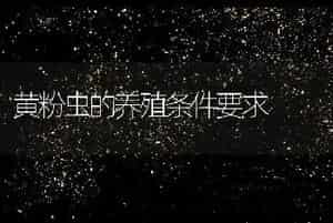 黄粉虫的养殖条件要求