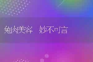 兔乳房炎的病因及防治