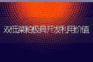 双低菜粕极具开发利用价值