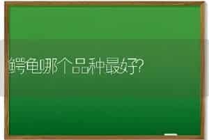 给布偶猫吃什么猫粮好？被它咬伤要打狂犬疫苗吗？