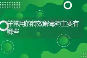 羊常用的特效解毒药主要有哪些