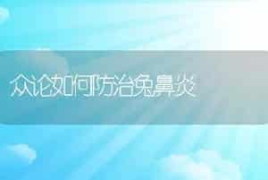 众论如何防治兔鼻炎