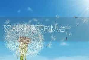 貂大肠杆菌病的防治