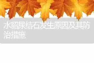 水貂尿结石发生原因及其防治措施