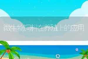 初冬谨防鸭倒蛋