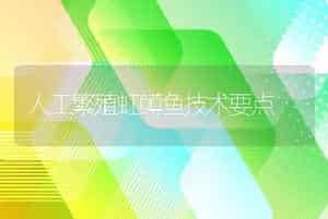 人工繁殖虹鳟鱼技术要点