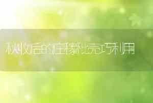 秋收后的庄稼秕壳巧利用