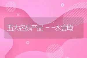 五大名枞产品――水金龟