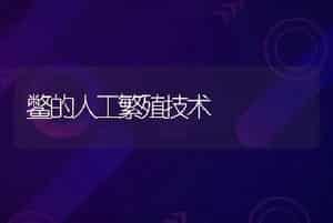 鳖的人工繁殖技术
