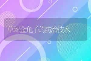 草坪金龟子的防治技术