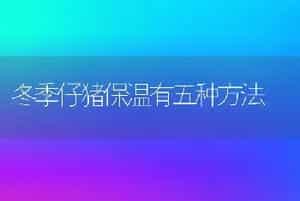 如何鉴别鹧鸪雌雄