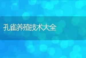 孔雀养殖技术大全