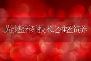 黄沙鳖养殖技术之稚鳖饲养