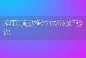降低养猪应激应注意的十个方面