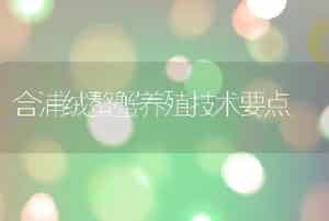合浦绒螯蟹养殖技术要点