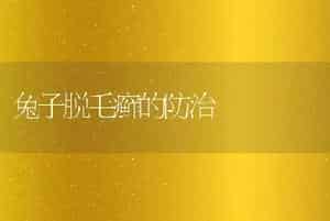 兔子脱毛癣的防治
