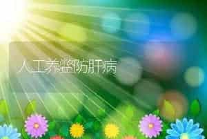 人工养鳖防肝病