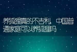 养狐狸真的不吉利，中国普通家庭可以养狐狸吗