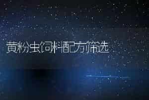 黄粉虫饲料配方筛选