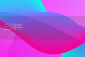 三河牛