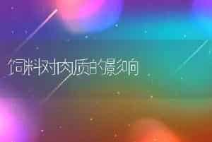 饲料对肉质的影响