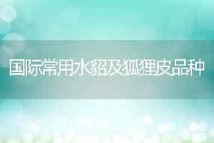国际常用水貂及狐狸皮品种