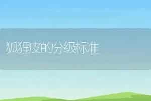 狐狸皮的分级标准