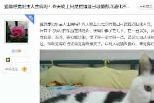 猫咪是不是有灵性？我生病了，猫就在身边安慰