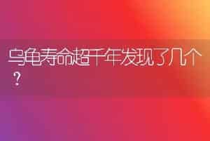 乌龟寿命超千年发现了几个？