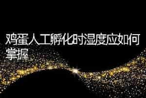 鸡蛋人工孵化时湿度应如何掌握