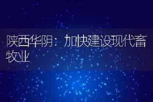 陕西华阴：加快建设现代畜牧业