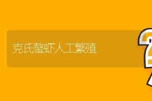 克氏螯虾人工繁殖