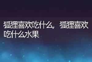 狐狸喜欢吃什么，狐狸喜欢吃什么水果