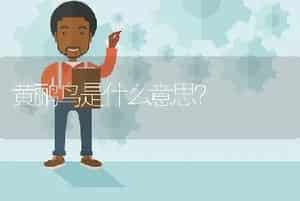 黄鹂鸟是什么意思？