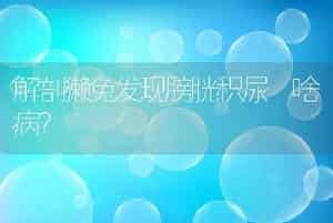 解剖獭兔发现膀胱积尿啥病？