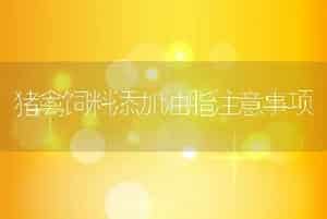 肉牛高效饲养管理技术