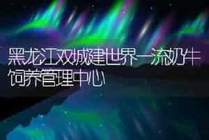 黑龙江双城建世界一流奶牛饲养管理中心