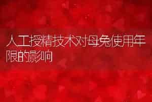 人工授精技术对母兔使用年限的影响