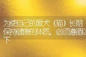 为使自己的爱犬（猫）长期保持健康的体质，必须遵循以下