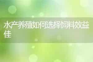 冬季应加强奶牛饲养管理