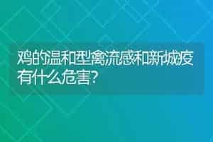 猪场寄生虫防控策略：高效驱虫药物选择与综合防控措施