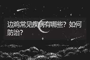 边鸡常见疾病有哪些？如何防治？