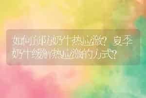 如何预防奶牛热应激？夏季奶牛缓解热应激的方式？