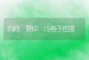 狗脊 管仲 冷卷子疙瘩