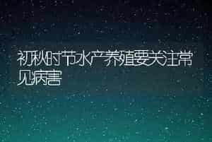 初秋时节水产养殖要关注常见病害