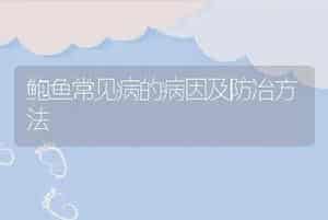 鲍鱼常见病的病因及防冶方法