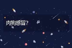 肉狗感冒？