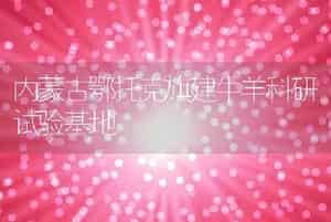 内蒙古鄂托克旗建牛羊科研试验基地