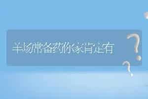 羊场常备药你家肯定有