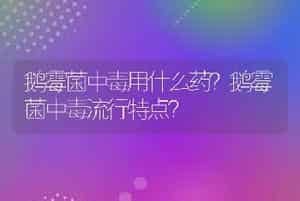 鹅霉菌中毒用什么药？鹅霉菌中毒流行特点？